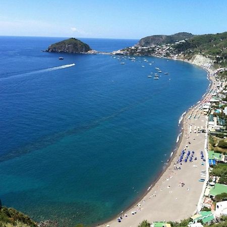 Il Pino “Villa Nunzia” Ischia Exterior photo