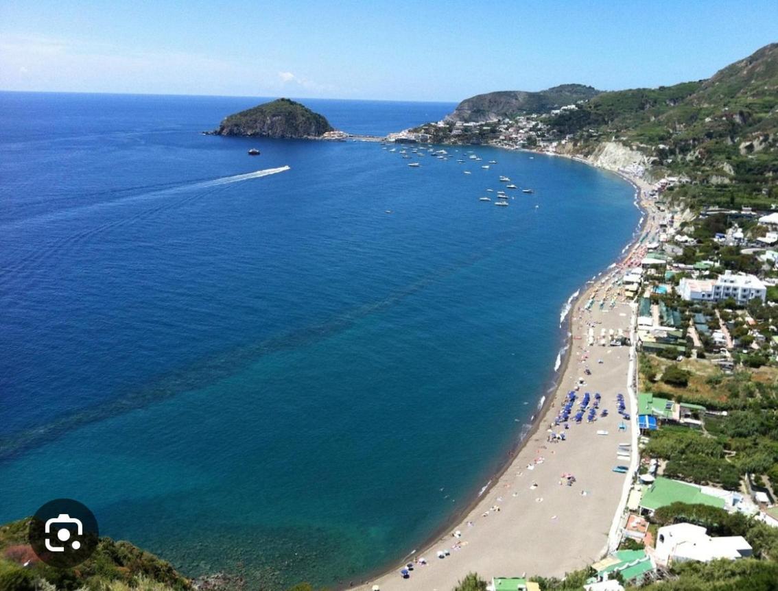 Il Pino “Villa Nunzia” Ischia Exterior photo